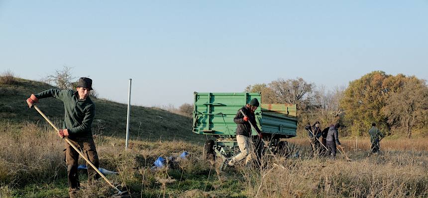 Menschen bei der Arbeit in der Natur