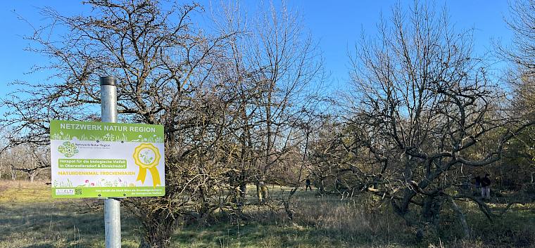 Das Naturdenkmal Halbtrockenrasen wurde mit einer Netzwerk Natur Region Tafel als Hotspot für die biologische Vielfalt ausgezeichnet. © LPV/A. Mrckvicka Netzwerk Natur Region Tafel