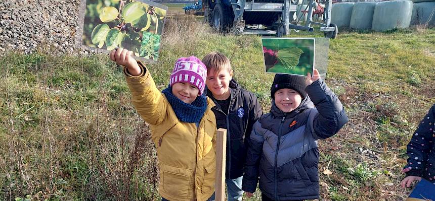Kinder mit Info folie