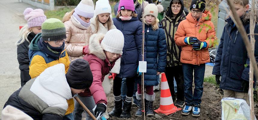 Kinder pflanzen Baum