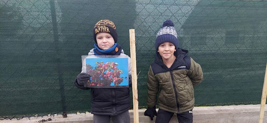 Kinder mit Info Folie