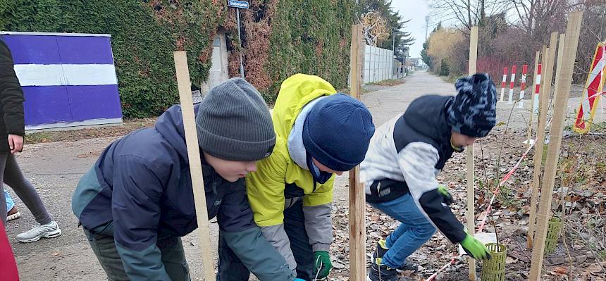 Kinder pflanzen Strauch