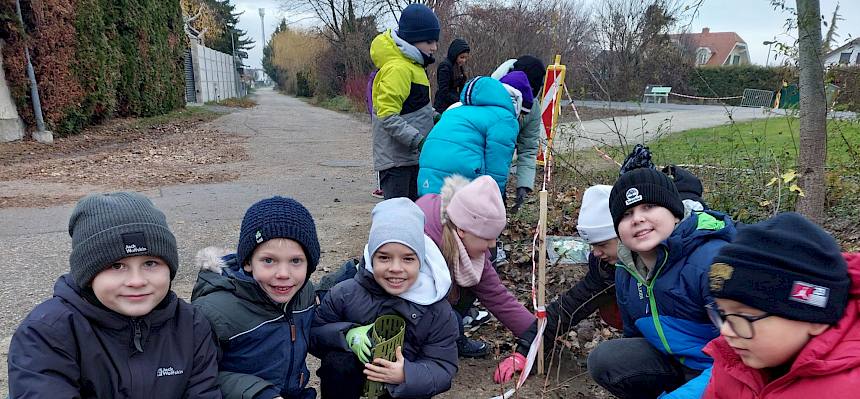 Kinder pflanzen Sträucher
