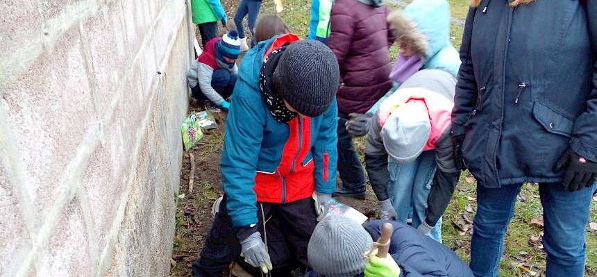 Kinder pflanzen Strauch