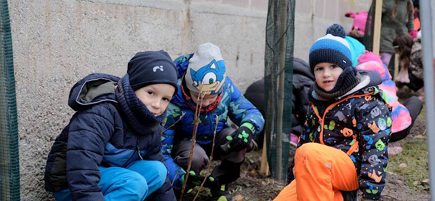 Kinder pflanzen Sträucher