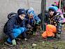Die Kinder waren mit Begeisterung bei der Arbeit. © LPV/J. FFischer Kinder pflanzen Sträucher