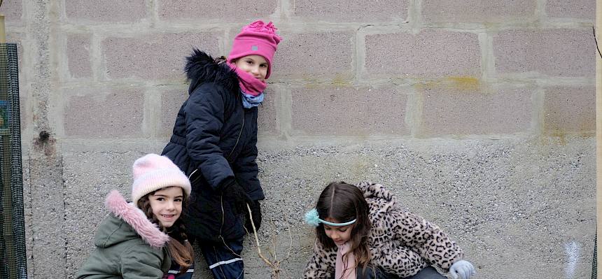 Kinder pflanzen Strauch
