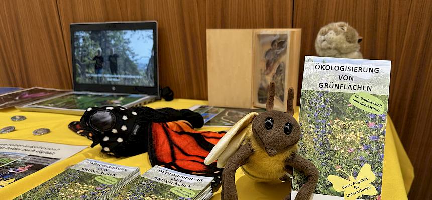 Info Stand