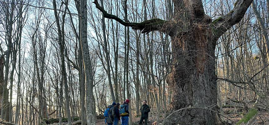 Menschen im Naturwald