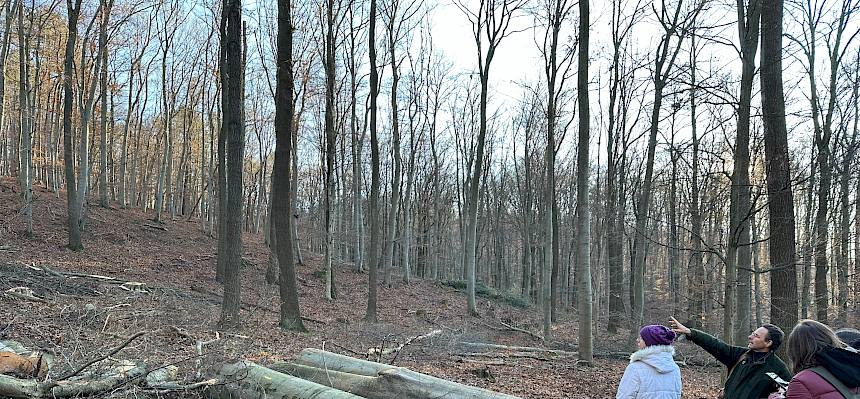 Menschen im Wald