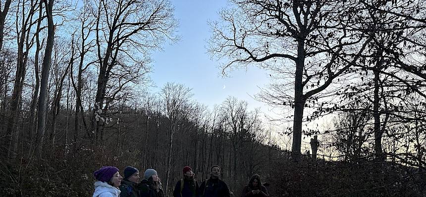 Menschen im finsteren Wald