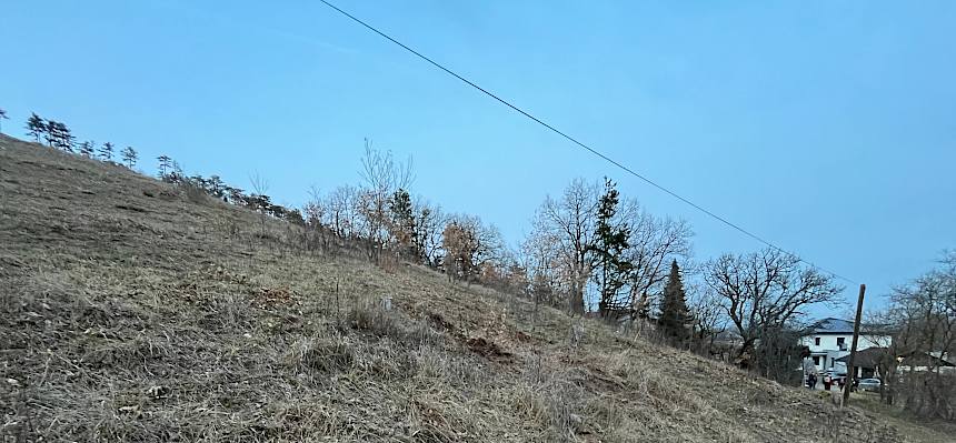 Entbuschter Trockenrasen im Winter