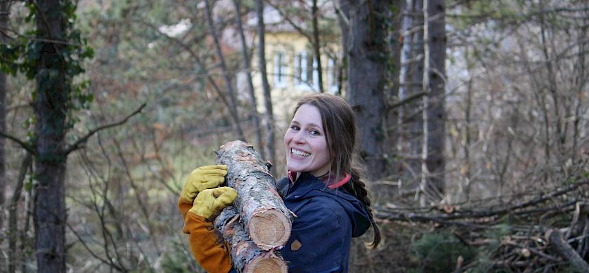 Frau trägt Holzstämme