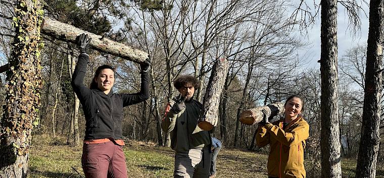 Frauenpower und Manpower heute auf der Perchtoldsdorfer Heide. © LPV/E. Weisz-Emesz Menschen tragen Baumstämme