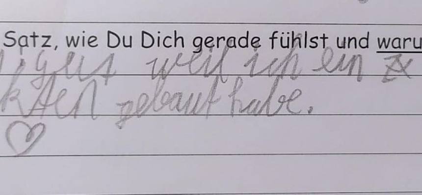 Feedback