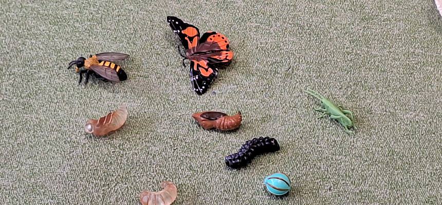 Plastikfiguren Insekten