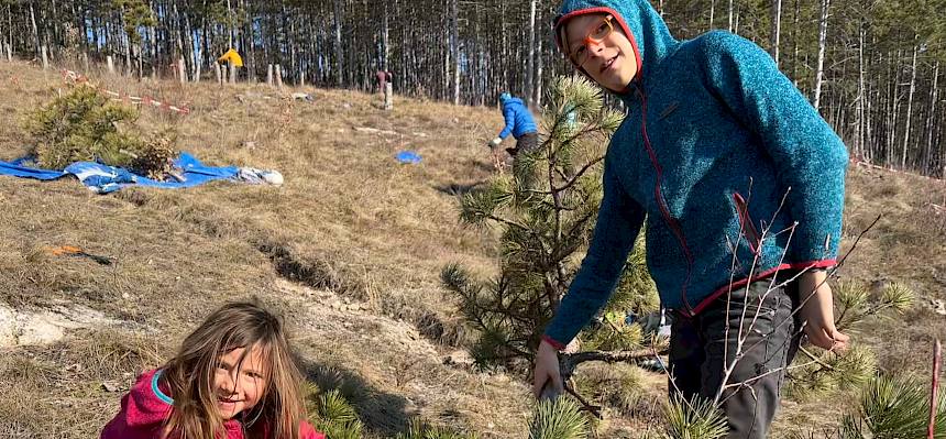 Kinder sägen Baum ab