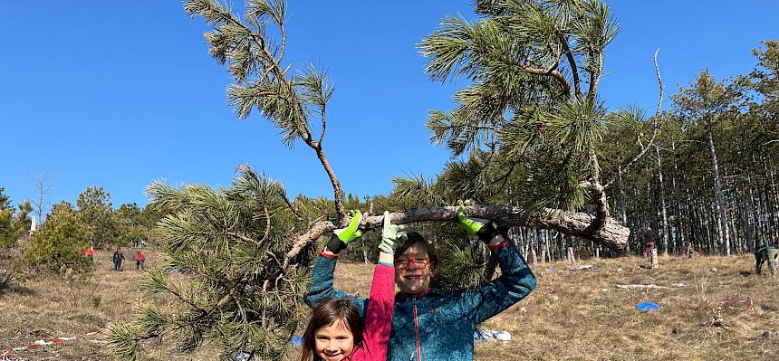 Kinder tragen abgesägten Baum
