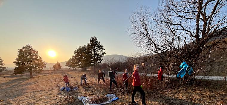 Bis zur Dämmerung wurde gearbeitet, um den Blutroten Hartriegel (Cornus sanguinea) mit Krampen nachhaltig von der Fläche zu entfernen. © LPV/A. Mrkvicka Menschen arbeiten in der Natur bei Sonnenuntergang