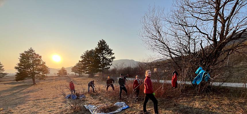 Menschen arbeiten in der Natur bei Sonnenuntergang