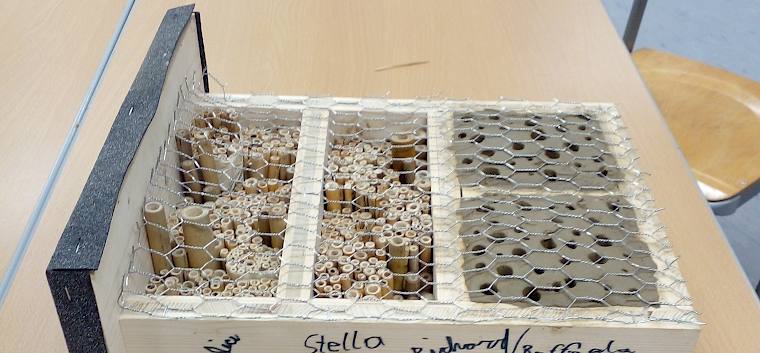 Teamwork der 1a der AHS Campus Baden! © LPV/N. Elek Nisthilfe