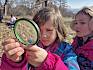 Heute waren wir mit sehr interessierten jungen Naturforschenden unterwegs. © LPV/L. Reimoser-Berger Kind mit Lupe