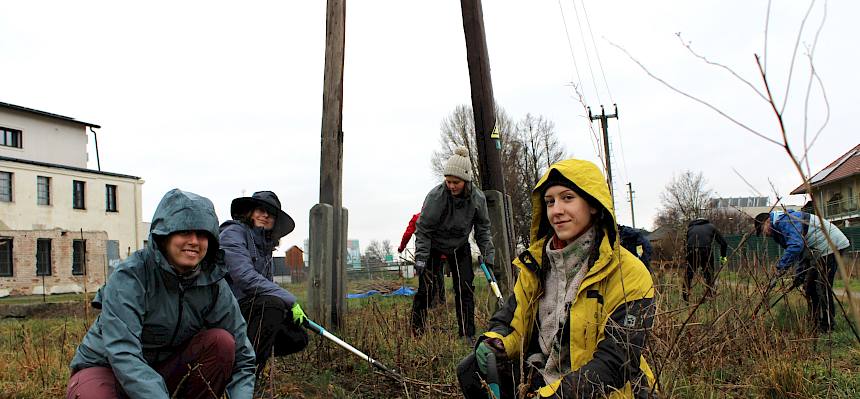Menschen arbeiten mit Astscheren im Regen