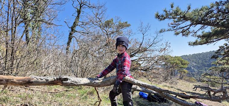 Volle Muskelkraft im Einsatz für den Erhalt der Artenvielfalt. © LPV/L. Reimoser-Berger Kind tragt großen Baumstamm