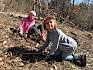 Die Arbeit in und für die Natur machte bei sonnigem Wetter allen viel Spaß. © LPV/N. Lintner Kinder graben Flieder aus.