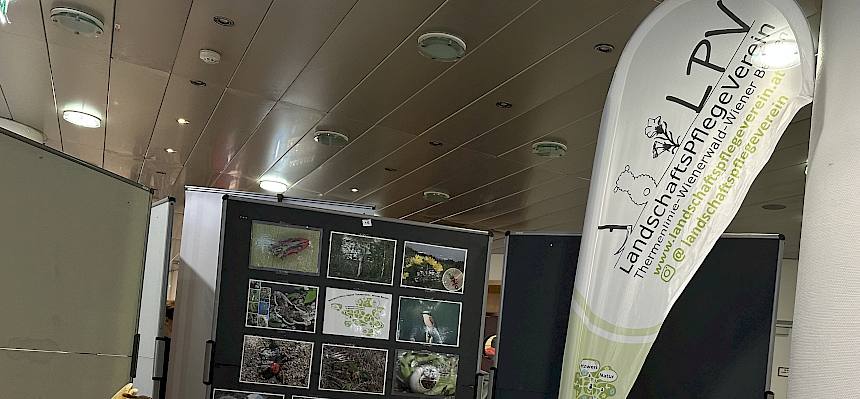Infostand
