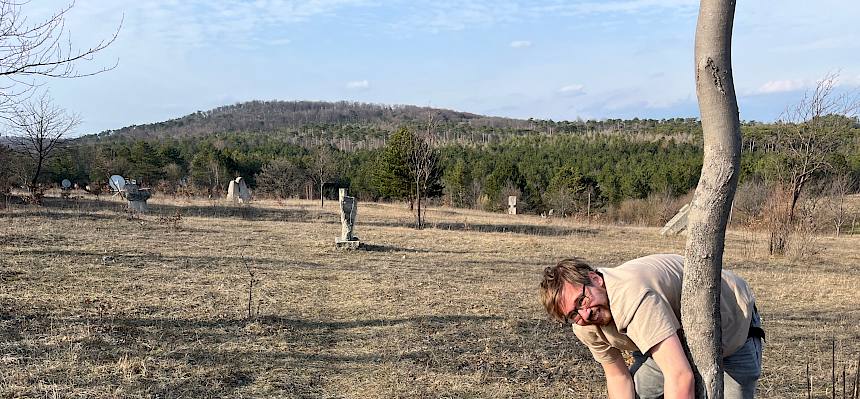 Mann mit Reifmesser ringelt Baum