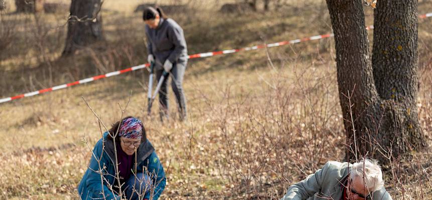 Menschen arbeiten mit Astscheren