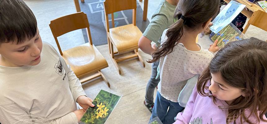 Kinder zeigen Bilder von Blumen