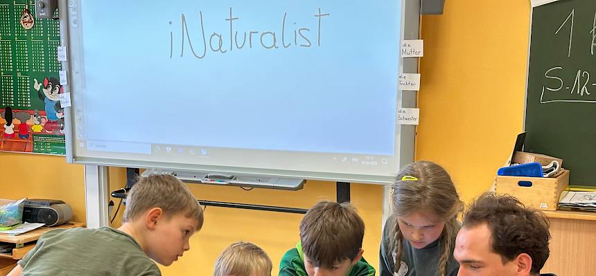 Menschen schauen auf Tablet