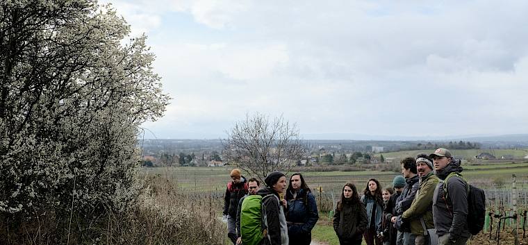 Durch die Weinberge Pfaffstättens ging es hinauf zum Naturschutzgebiet Heferlberg-Glaslauterriegel-Fluxberg. Am Weg gab es informative Einblicke in die Kulturlandschaft Pfaffstättens - wie hier zur wertvollen Schlehenhecke. © LPV/J. FFischer Menschen stehen in einer Gruppe