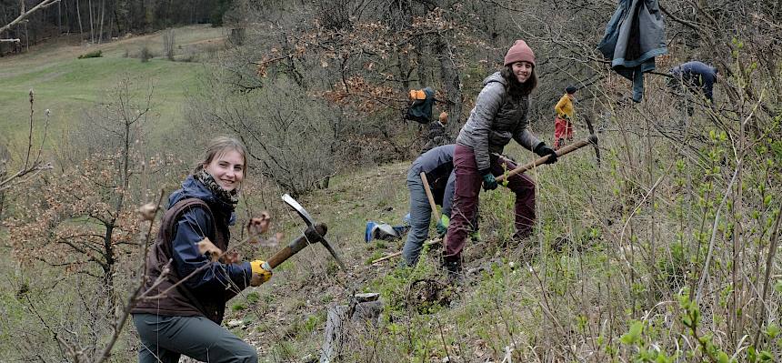 Menschen arbeiten mit Krampen