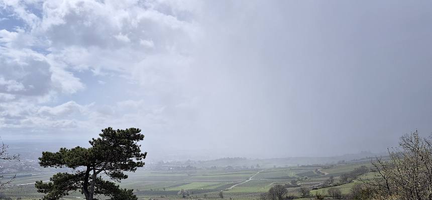 Wetterstimmung über Pfaffstätten