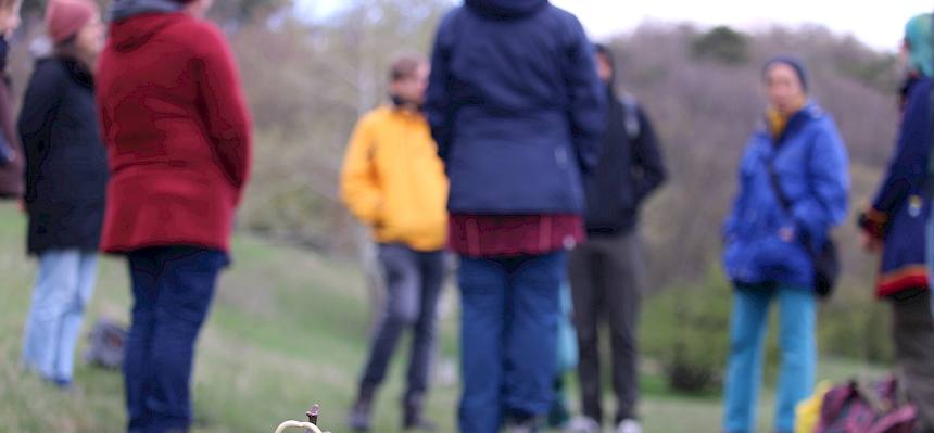 Mammut Figur auf der Wiese, dahinter Menschen