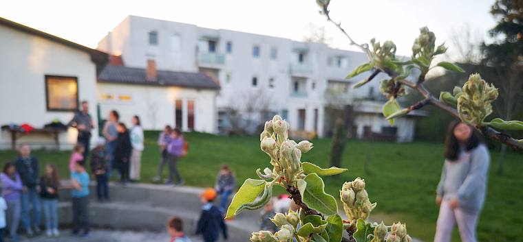 Im Pfadfinder-Garten wurden mit der internationalen Naturforschungs-App iNaturalist das Bestimmen von Arten geübt. © LPV/F. Hohn Blüte im Garten