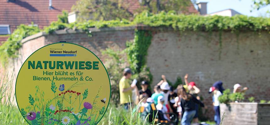 Schild Naturwiese