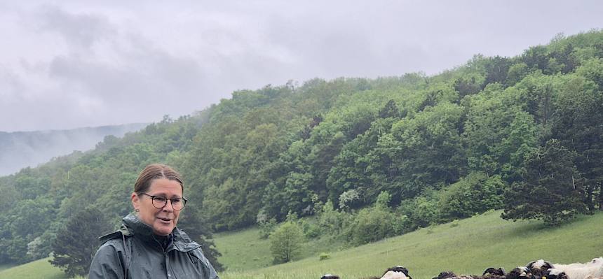 Schäferin mit SChafen und Hütehund