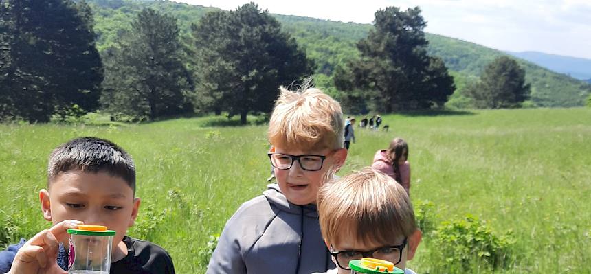 Kinder mit Becherlupe