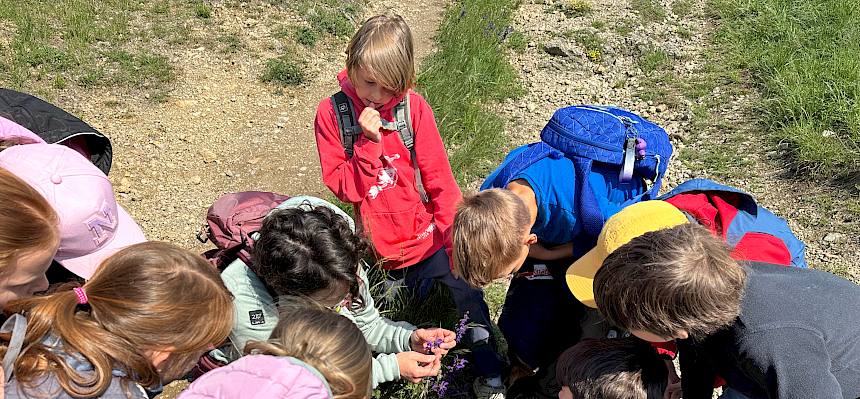 Kinder betrachten Pflanze