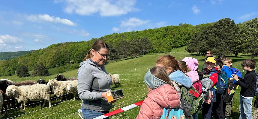 Kinder betrachten Sägeschrecke