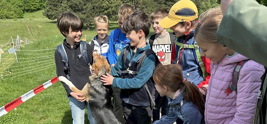 Kinder mit Hund