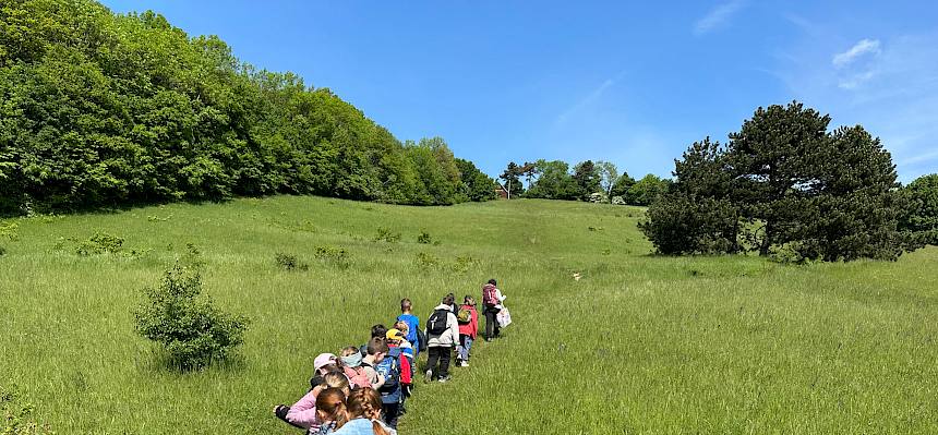 Kinder gehen über Wiese