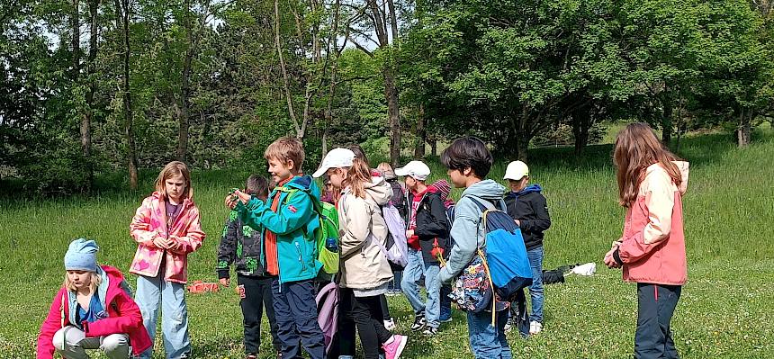 Kinder auf der Wiese