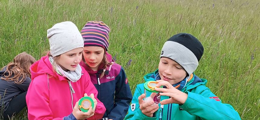 Kinder mit Becherlupen