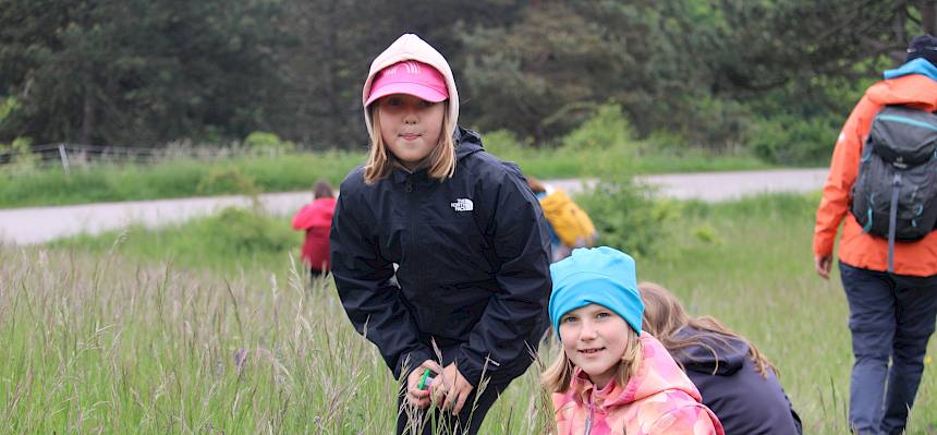 Kinder im Gras