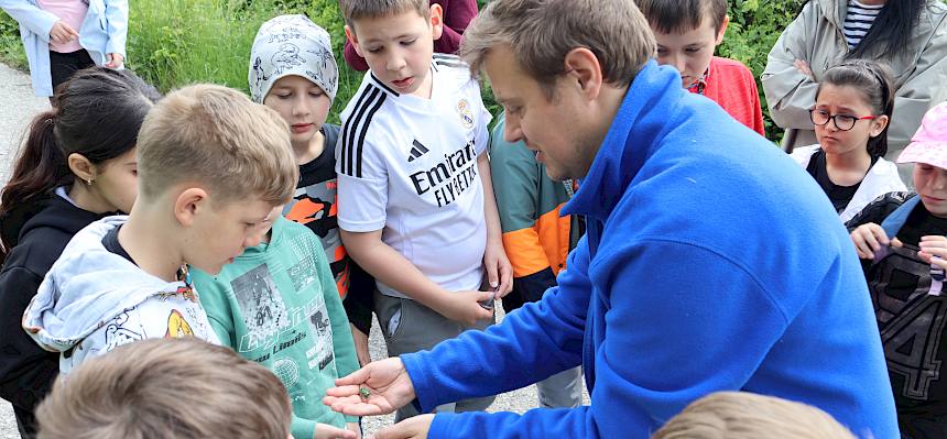Naturpädagoge gibt Schüler Rosenkäfer